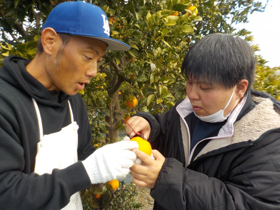 学習支援⑦